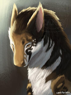 Headshot - Dragon