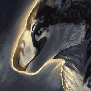 Headshot - Dragon