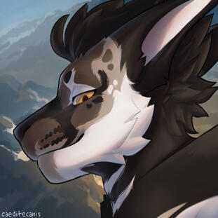 Headshot - Sergey
